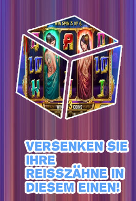 New play n go slot